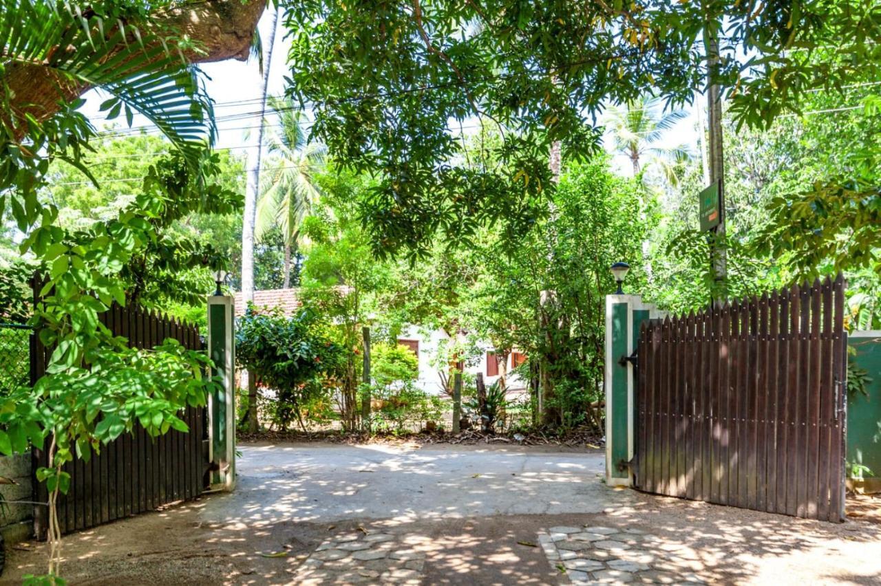 Julia Safari Inn Tissamaharama Dış mekan fotoğraf